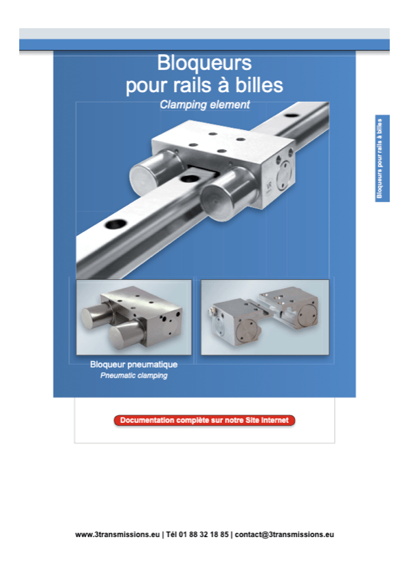 Bloqueur pour rails à billes